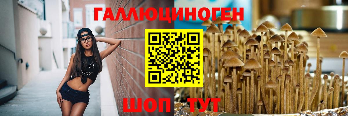 Волхов  Псилоцибиновые грибы GOLDEN TEACHER  Вход с VPN 