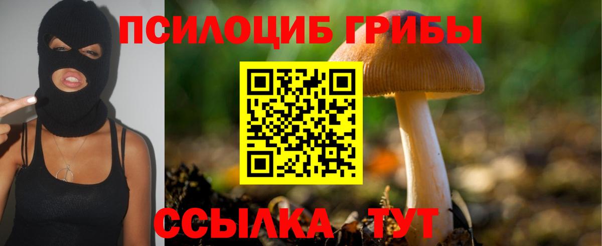Галлюциногенные грибы Magic Shrooms Волхов